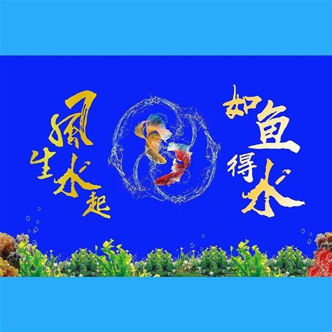 風生水起同義詞|【風生水起同義詞】風生水起同義詞讓你文采飛揚！探索相近及相。